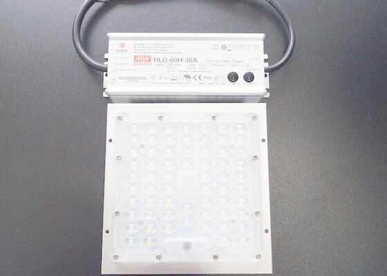 Beli 21.6V IP65 50W Modul Catu Daya Led HLG-60H-36A pembuatan online