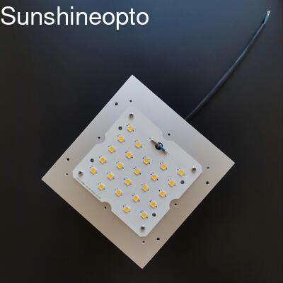 30W/50W/60W/100W PCB ModuleTYPEII Lensa optik 24 LED 5050 LED Panel Light Outdoor
