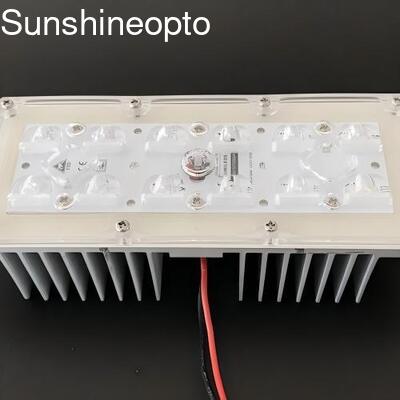 Modul Lampu LED 12 LED 5050 SMD dengan Lensa Sudut Sinar 173mm 145x70 Derajat untuk Penerangan Jalan